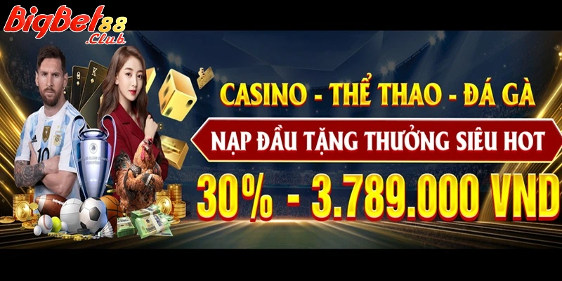 Có nhiều ưu đãi siêu cuốn Có nhiều ưu đãi siêu cuốn